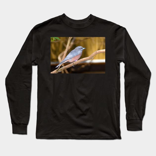 White-browed Wood Swallow Long Sleeve T-Shirt by Carole-Anne